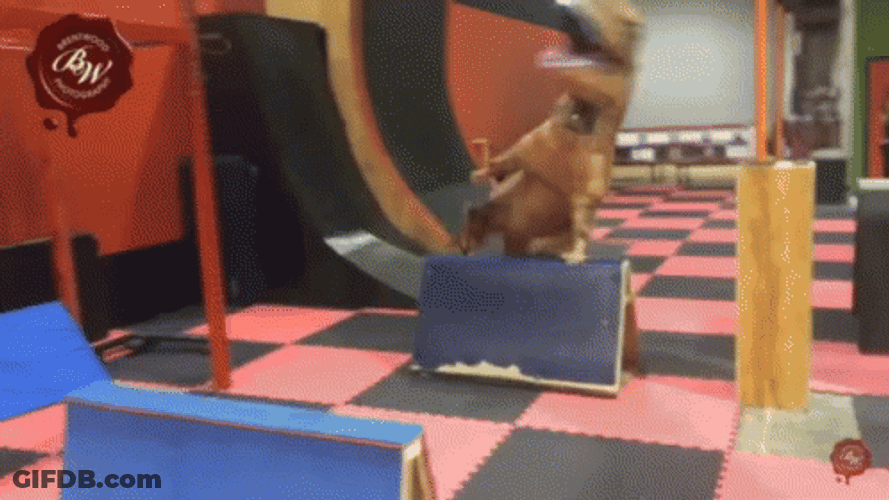 My Mood Parkour GIF
