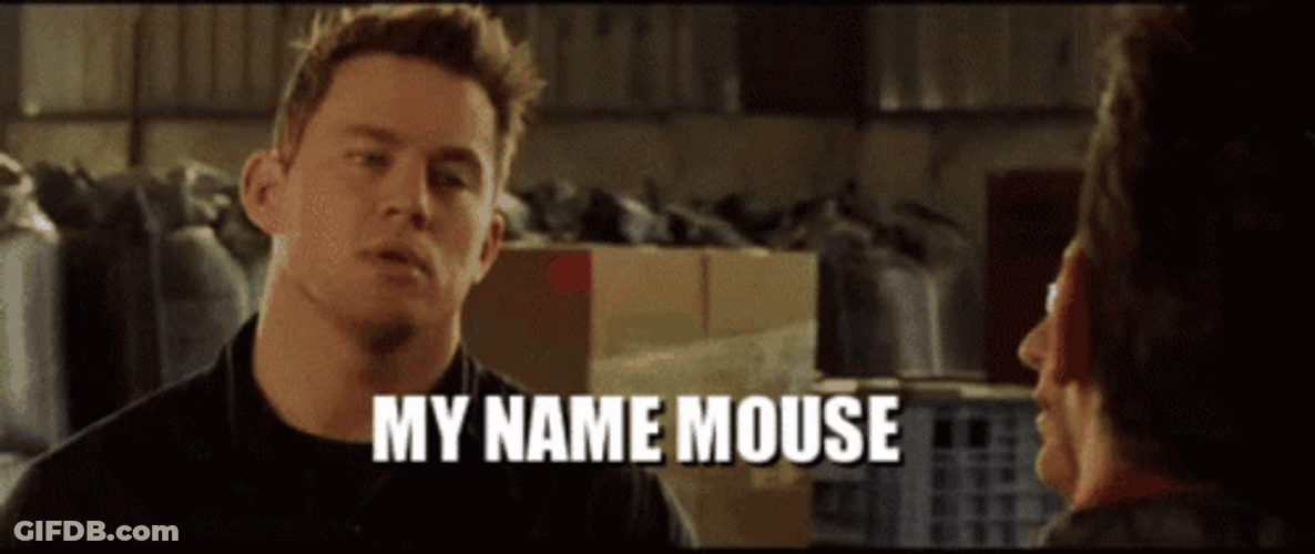My Name Is Jeff Mouse Meme GIF
