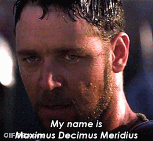 My Name Is Maximus Decimus Meridius GIF