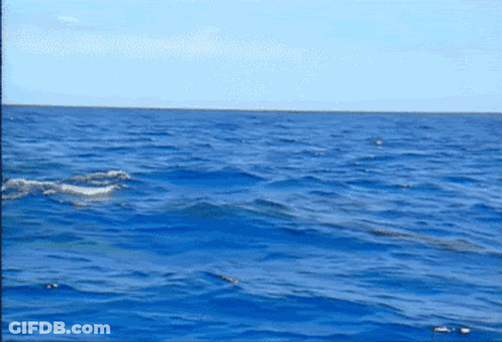 My Precious Thar She Blows Funny GIF