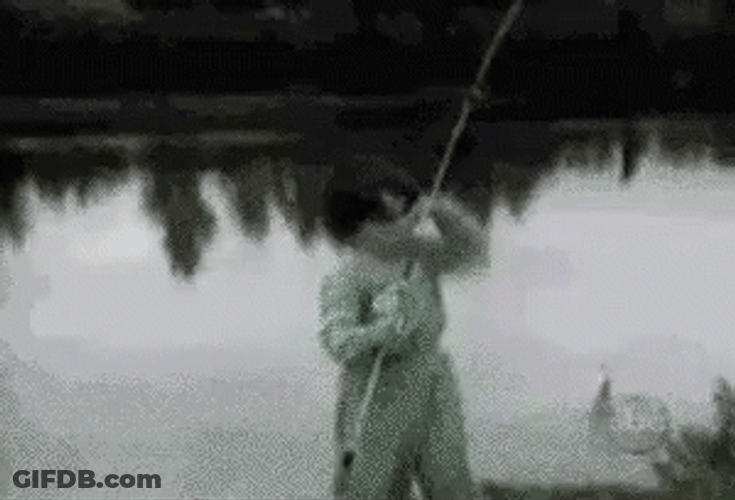 My Problems Chasing Me Funny Fishing GIF