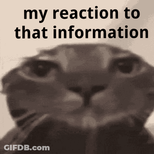 My Reaction To That Information Cat GIF