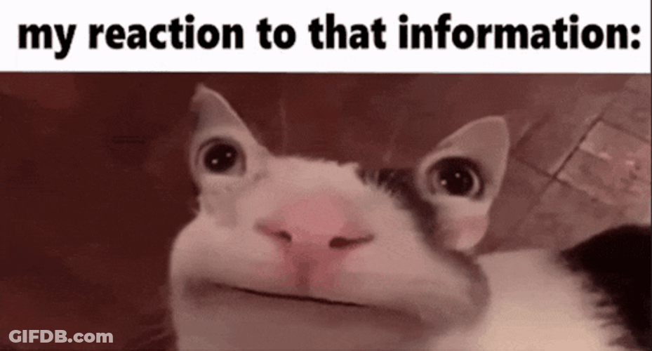 My Reaction To That Information GIF