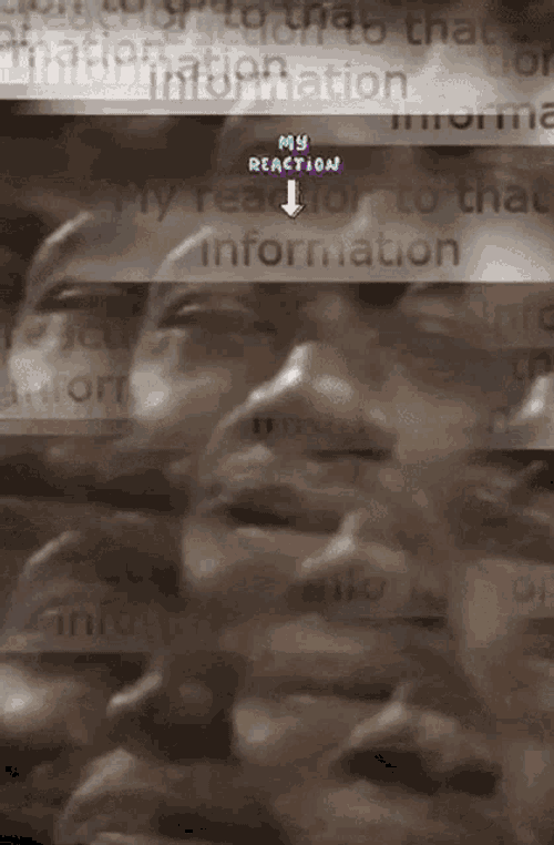My Reaction To That Information My Reaction To That Information Meme GIF