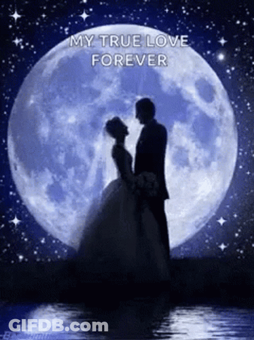 My True Love Forever Wedding GIF
