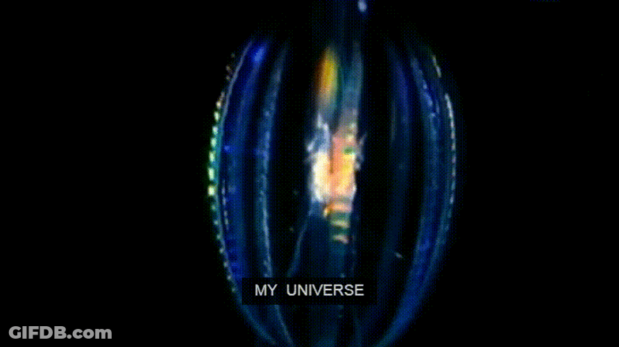 My Universe Vedic Viswaroopa GIF