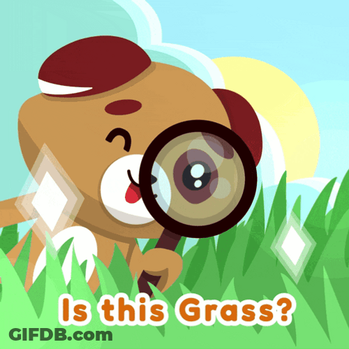 Myke Bogan Is This Grass GIF