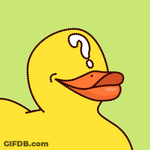 Mystery Dancing Duck Head Bopping GIF