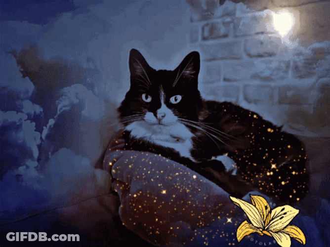Mystery GIF