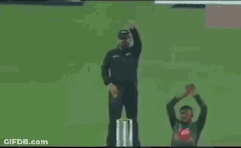 Naagin Dance Bangladesh GIF