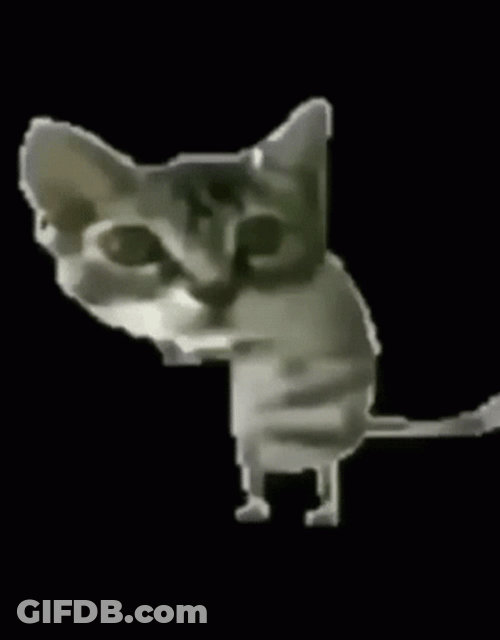 Nacho GIF