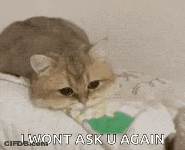 Nada Text On Black Background GIF