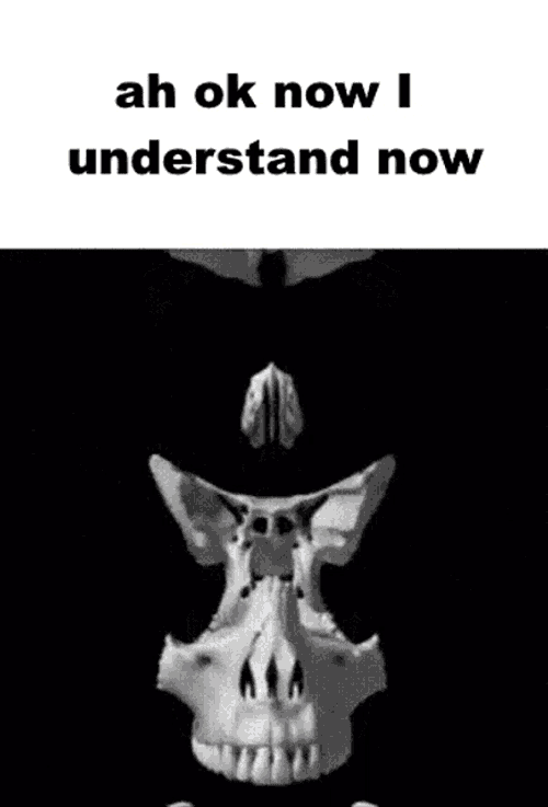 Nah Bruh Ah Ok I Undertand Now GIF