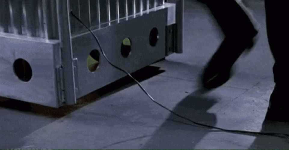 Naked Gun Jane Spencer Seeing Frank Drebin Stumble GIF