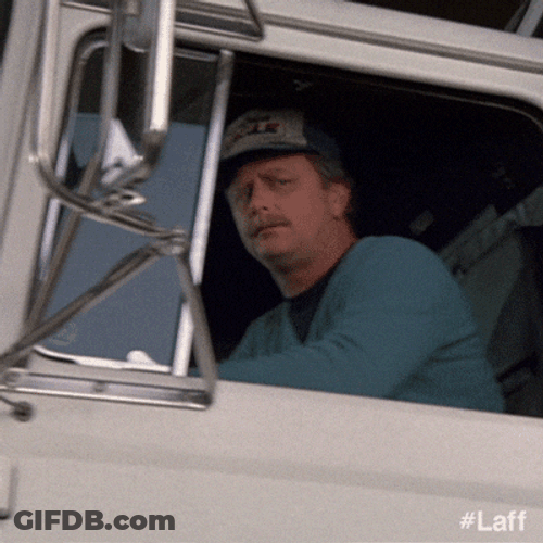 Naked Gun Undefined X Undefined GIF