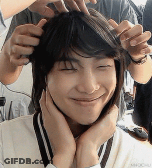 Nam-Joon Wacky Fake Hair GIF