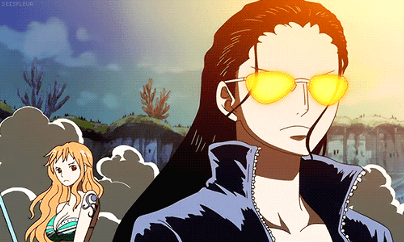 Nami And Nico Robin One Piece GIF
