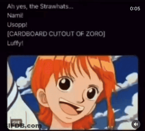 Nami From One Piece Talking To Luffy GIF