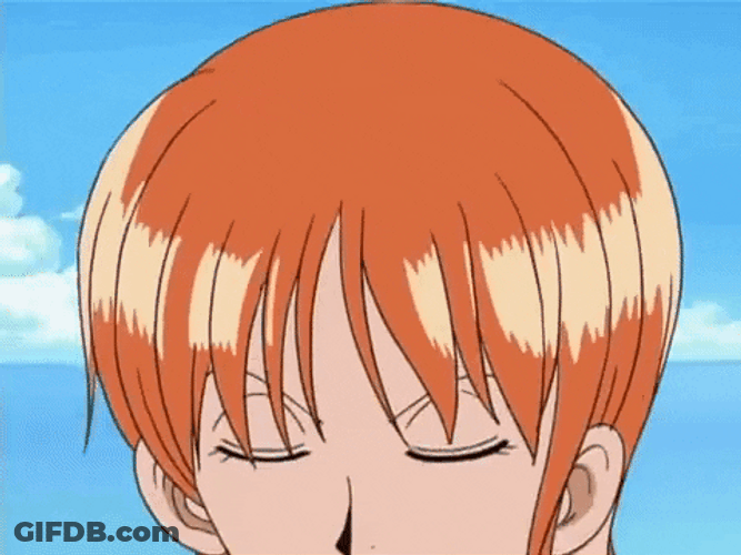 Nami Kissing Money GIF