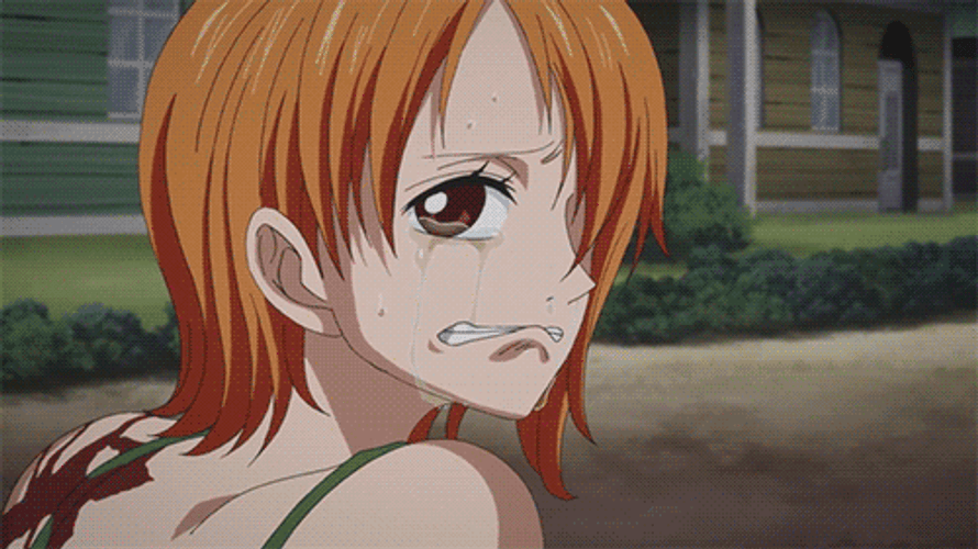 Nami Luffy Lend Hat GIF