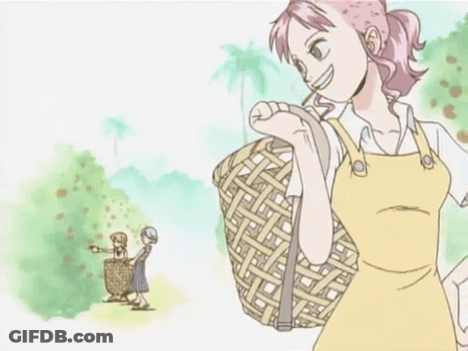 Nami One Piece Flashbacks GIF