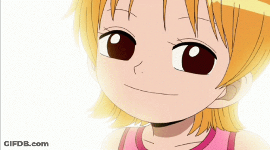 Nami Sanji Dream In Love GIF