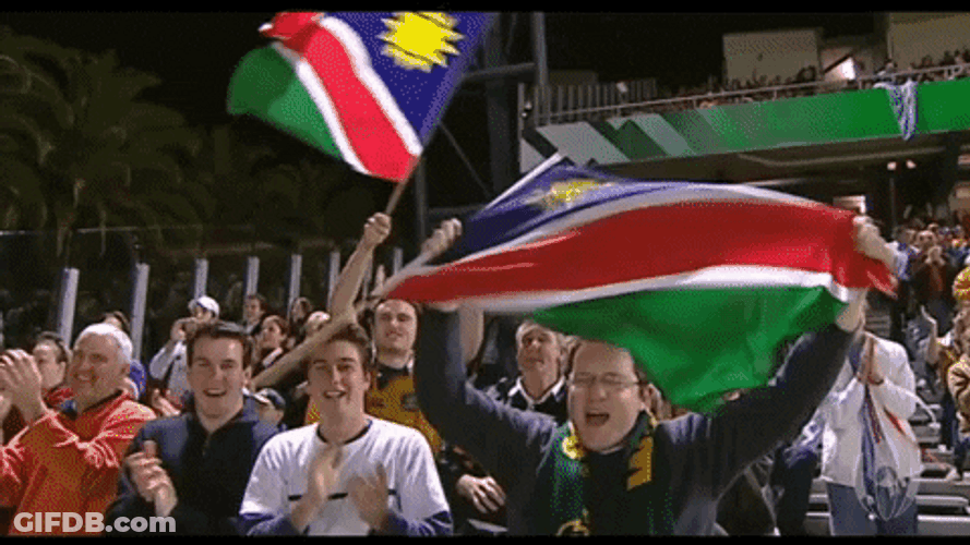 Namibia Rugby Fans Excited GIF