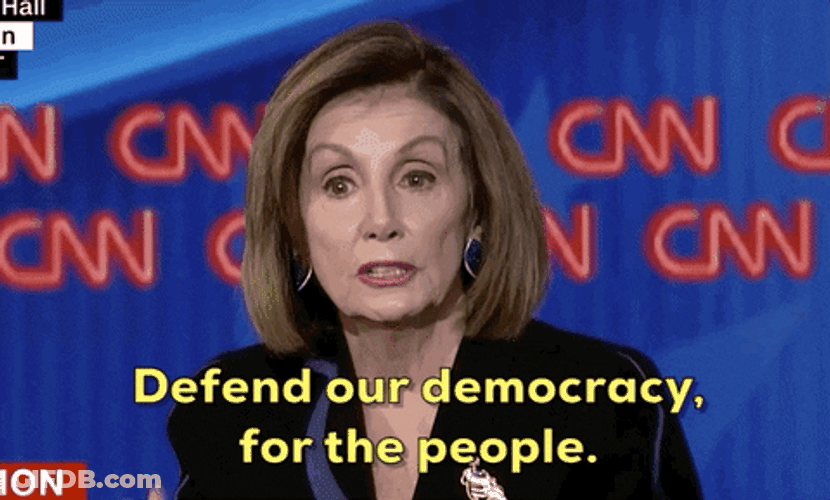 Nancy Pelosi Defend Our Democracy For The People GIF