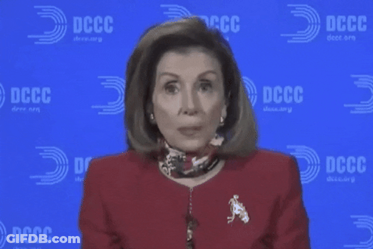 Nancy Pelosi Three Important Issues GIF
