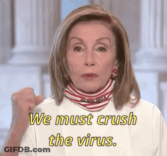 Nancy Pelosi We Must Crush The Virus GIF