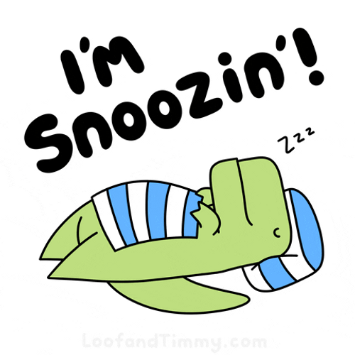Nap Im Snoozin Turtle GIF