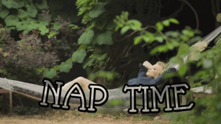 Nap Time In Nature Is The Best GIF