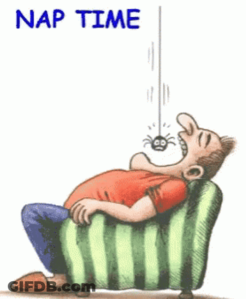 Nap Time GIF