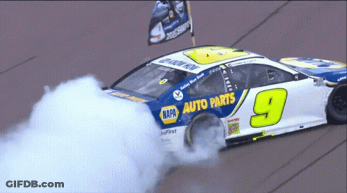 Napa Auto Parts Race Car Number 9 GIF