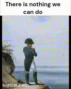 Napoleon Standing On A Cliff Overlooking The Ocean With The Words There Is Nothing We Can Do GIF