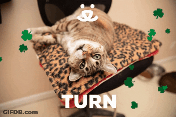 Napoleon Turn Lucky Around GIF