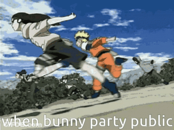 Naruto Run When Bunny Party Public Meme GIF
