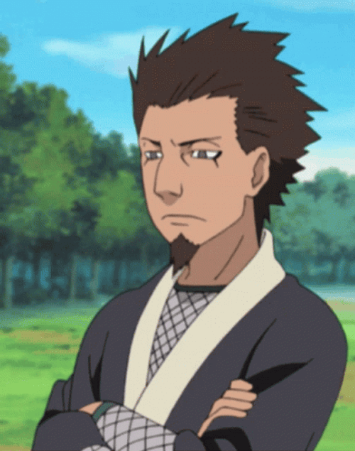 Naruto Shippuden Hiruzen Sarutobi GIF