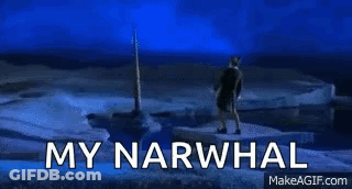 Narwhal Saying My Narwhal GIF