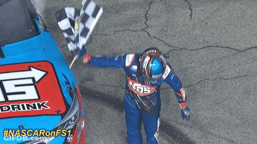 Nascar Car Racing Kyle Busch Flag Win GIF