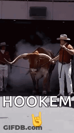 NASCAR Race On Screen GIF