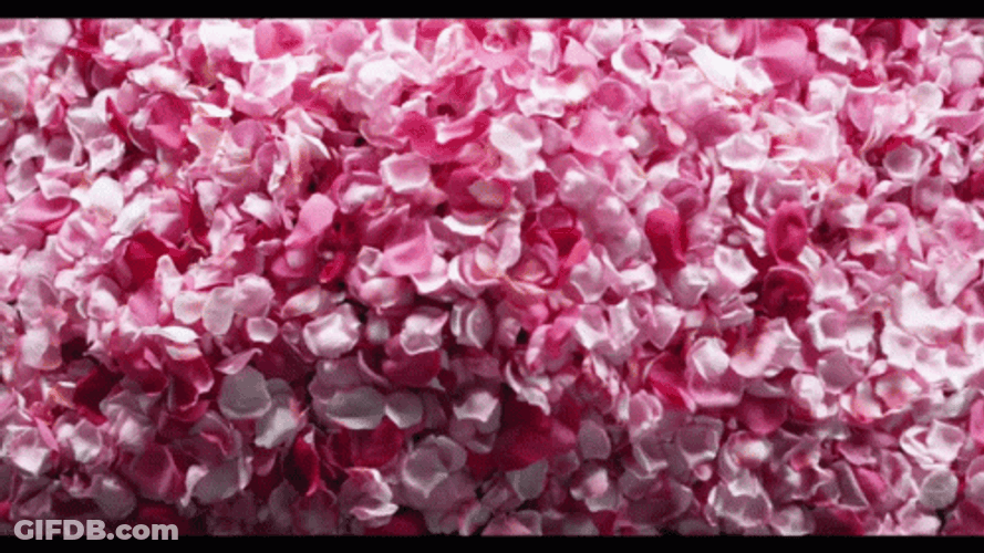 Natalie Portman Dior GIF