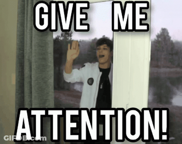 Nathan Triska Give Me Attention GIF