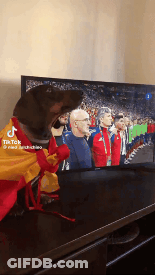 National Anthem Dog GIF