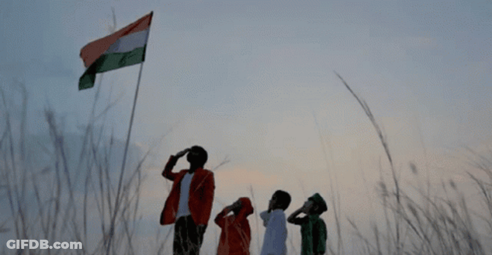 National Anthem Salute To The Flag GIF