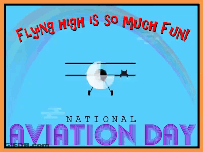 National Aviation Day Poster With Plane And Rainbow GIF