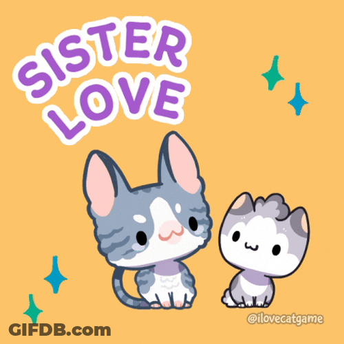National Cat Sisters Day GIF