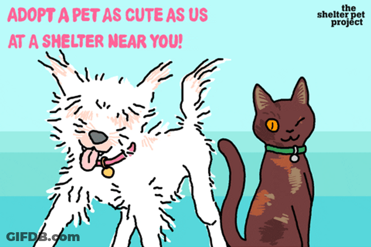 National Dog Day Adopt Pet Now GIF