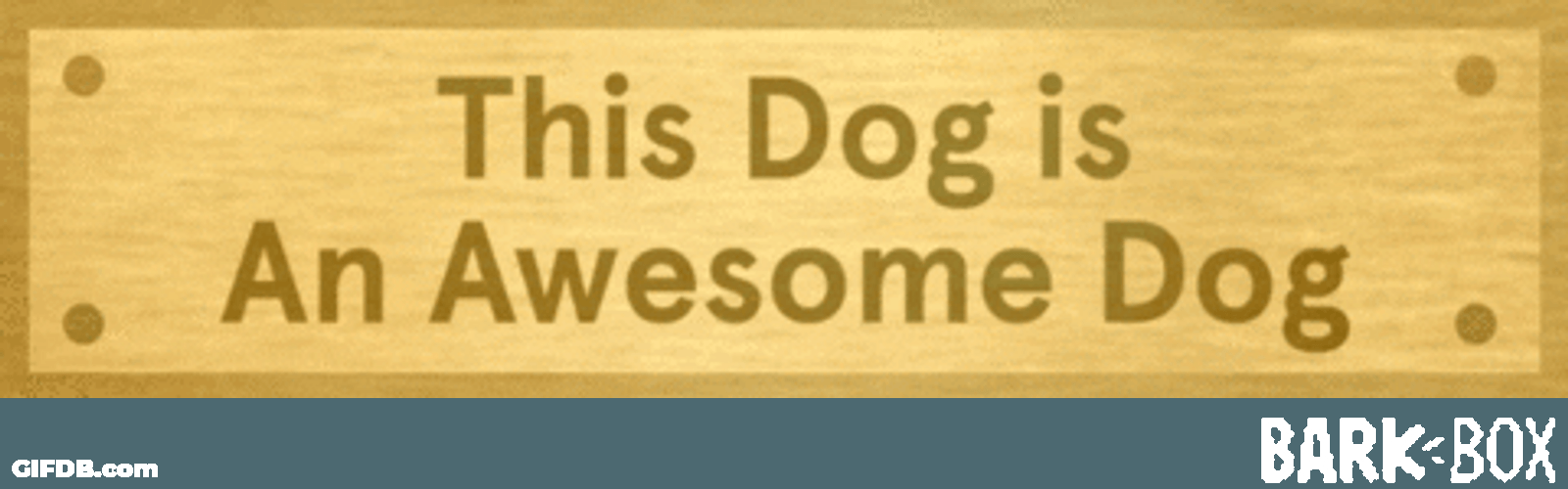 National Dog Day Dog Is Awesome GIF