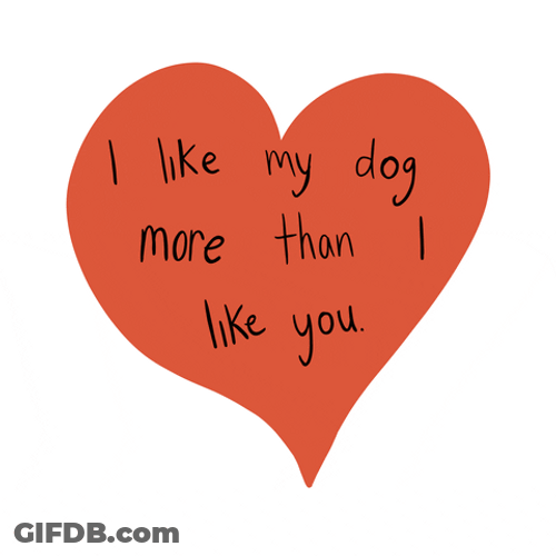 National Dog Day I Like My Dogs GIF